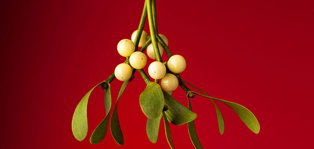 Buy custom made nontoxic soy-coco wax melts in 4 Packs. Custom, made to order, in Ohio.