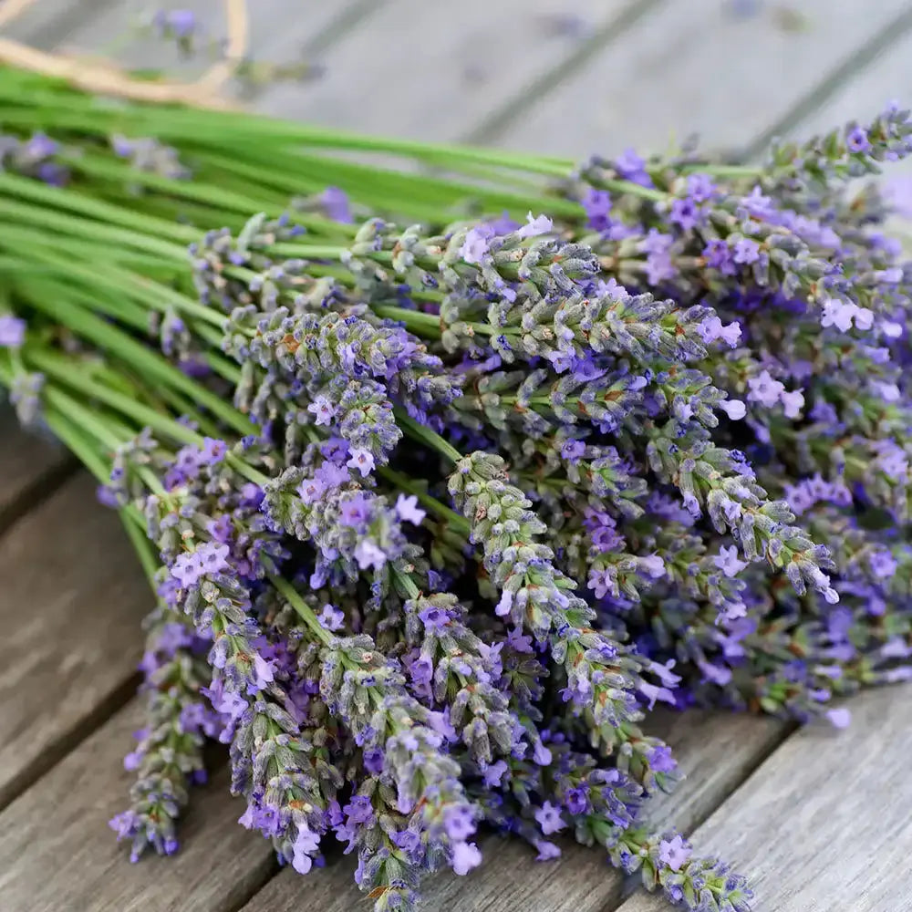 Calming Lavender Scent Spell Melts Infused w/ Amethyst Crystals Holly's Hand Poured Hobbies Candle Shop