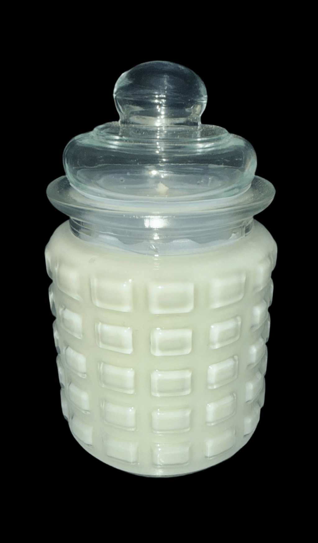 Eucalyptus Peppermint Soy Candle – 8 oz Clear Glass Jar Holly's Hand Poured Hobbies Candle Shop