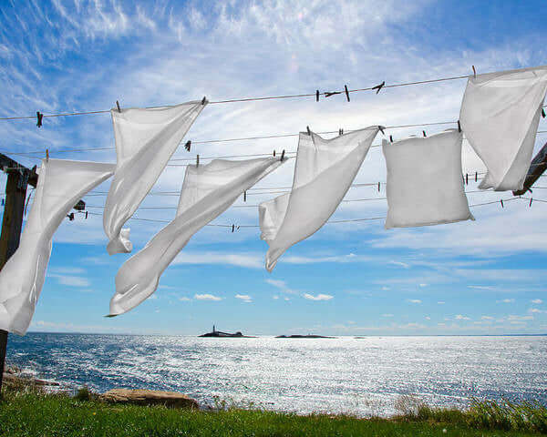 Buy large 20 oz Strongly Scented Soy Candles in Glass Jars online. Choose from over 40 scents.