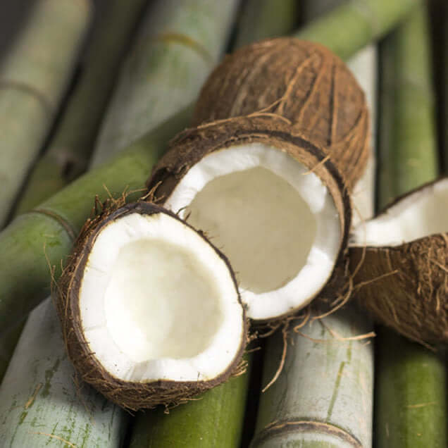 Buy large 20 oz Strongly Scented Soy Candles in Glass Jars online. Choose from over 40 scents.