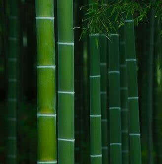 Buy chakra crystal prayer candles online. Scented soy-coco wax blends.