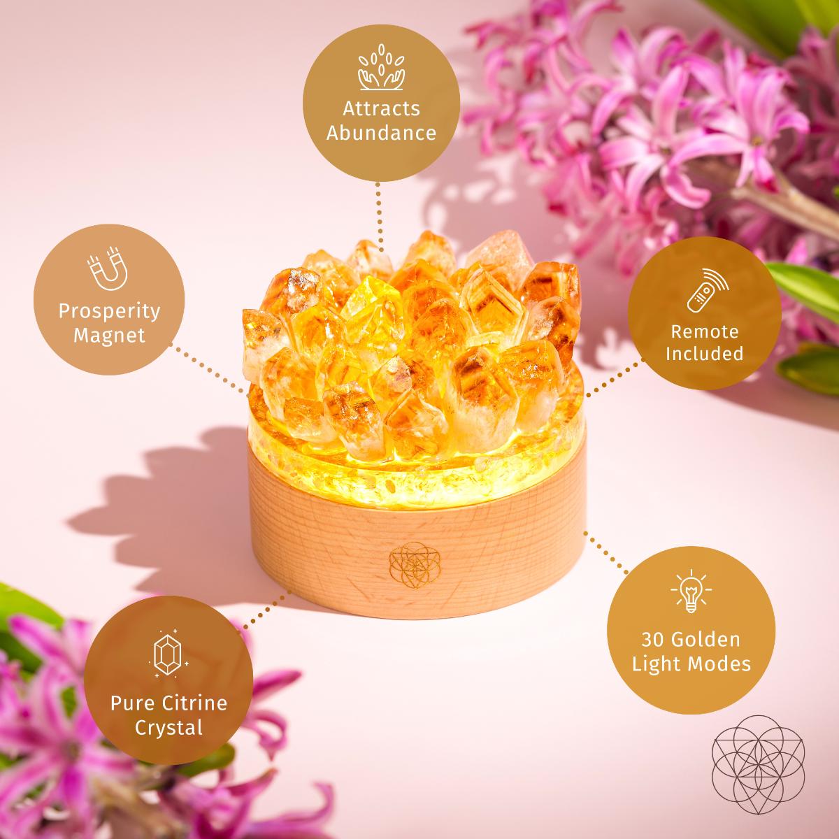 Turn My Life to Gold - Midas Citrine Lamp Conscious Items