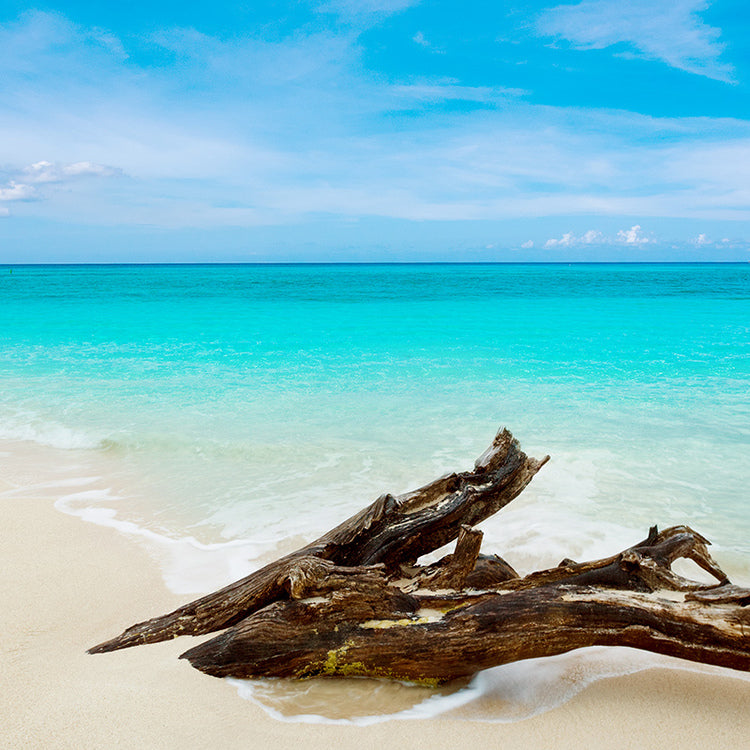 Buy Hand Poured Nontoxic Scented Soy Wax Melts online. Handmade in Ohio.